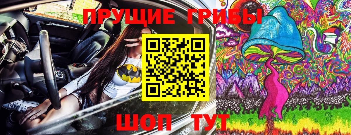 наркошоп  Воронеж  Псилоцибиновые грибы Cubensis 