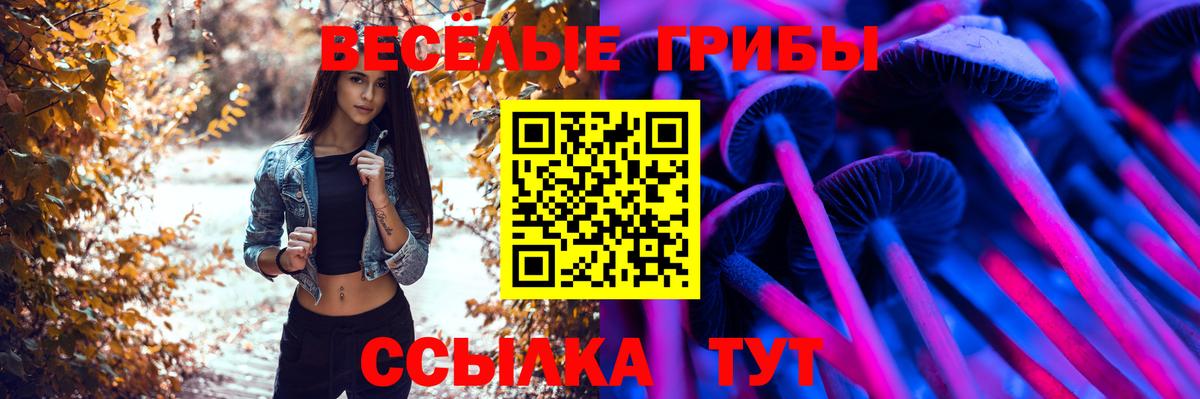 Воронеж  Псилоцибиновые грибы Psilocybine cubensis  где купить   Галлюциногенные грибы GOLDEN TEACHER  Вход с VPN 